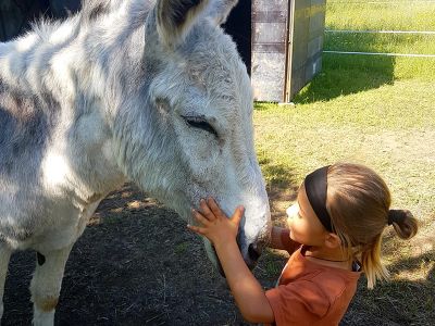 ponyreiten camping erbenwald